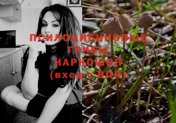 первитин Каменногорск