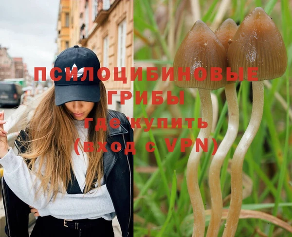 каннабис Карпинск