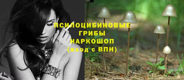 дмт Каменск-Шахтинский